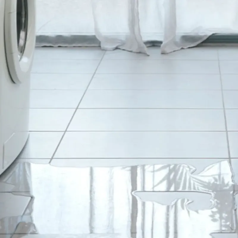Appliance Leak Cleanup in Pine Valley, CA